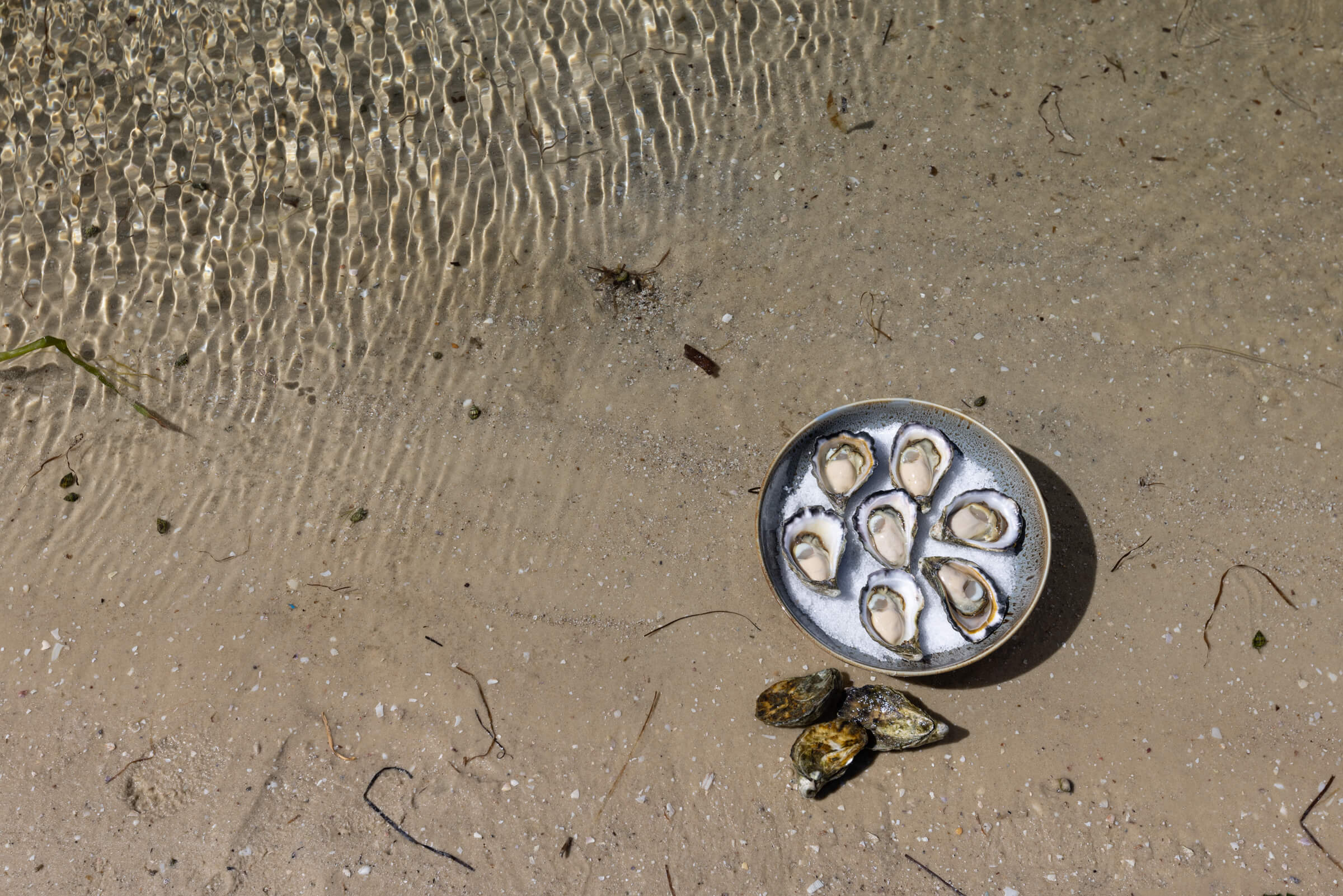 Albany Rock Oyster Nutritional Information Leeuwin Coast Guides